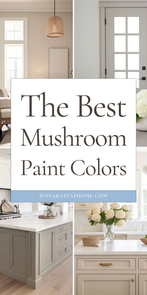 Explore the top mushroom paint colors from Sherwin Williams and Benjamin Moore for a cozy, natural vibe. These are perfect for cabinets, bathroom, living room, or bedroom. Discover the best mushroom paint colors to create warm mushroom walls in any space. Mushroom Color Kitchen Cabinets, Mushroom Color Paint, Best Mushroom Paint Colors, Sherwin Williams Cabinet Paint, Best Cabinet Paint, Bathroom Cabinet Colors, Beige Paint Colors, Best Kitchen Colors, Warm Paint Colors