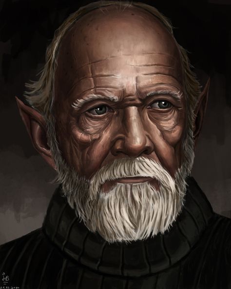 Old Elf Dnd, Old Elf Art, Old Half Elf, Old Elf Woman, Old Elf Male, Half Elf Dnd, Old Elf, Dnd Portraits, Dnd Npc