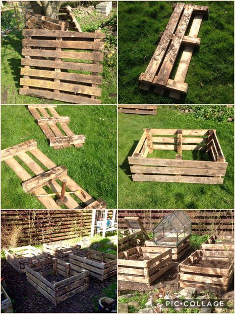 Pallet Garden Box, Gardening Tattoo, Raised Garden Beds Diy Vegetables, Gardener Aesthetic, Pallet Projects Garden, Garden Tattoo, Diy Raised Garden, Aesthetic Garden, Raised Garden Beds Diy