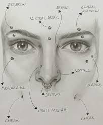 How To Draw Nose Piercings, Eyebrow Piercing Chart, Pericings And There Names Face, Eyebrow Piercing Drawing, Cute Facial Piercings Ideas, Female Facial Piercings, Best Piercings For Face Shape, Piercing Chart Face, Cute Piercings Ideas Face