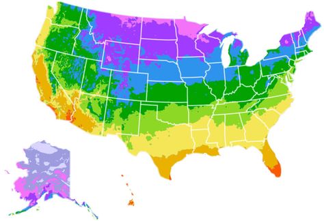 What Gardening Zone Am I In, Texas Planting Zones, What Planting Zone Am I In, Gardening Zones Map U.s. States, What Garden Zone Am I In, Planting Zones Map United States, What Zone Am I In For Planting, Gardening Zones Map, Gardening Zone Map