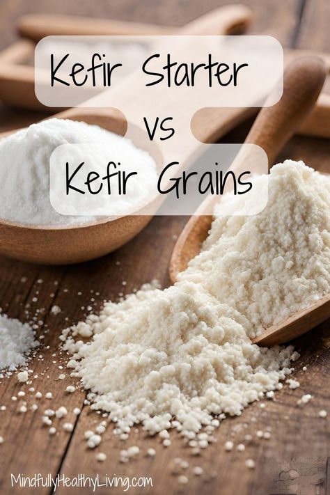 A Pinterest-optimized image of A wooden bowl of freeze-dried kefir starter powder next to a bowl of kefir starter grains and text overlay that says kefir starter vs kefir grains mindfullyhealthyliving.com Kefir Grains How To Make, Vegan Kefir Recipe, Homemade Kefir Recipes, Making Kefir At Home, What To Do With Kefir, How To Make Kefir At Home, Vegan Kefir, Making Kefir, Homemade Kefir