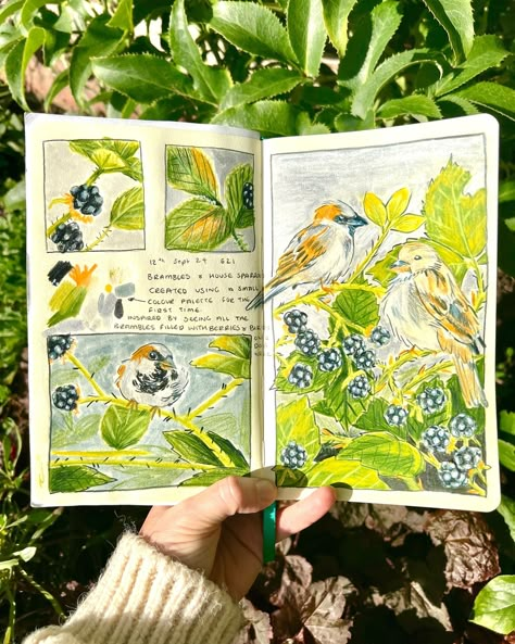 I love this sketchbook spread I’ve done today. It’s the first time I’ve used a limited colour palette and it’s not very often I do the pages as a a mixed of panels. - These are inspired by the dog walks to the local field. The brambles were full of berries and a lot of house sparrows hiding in them and eating the black berries. I do love the sound the house sparrows make. This is what I tried to capture in this spread. - - - #brambles #housesparrows #bramblesandsparrows #drawing #drawingeve... Tiny Watercolor Palette, Sketchbook First Page Ideas, Artist Diary, Journal Inspo Ideas, Sketchbook Pages Inspiration, A6 Sketchbook, Fluff Art, Sketchbook Spreads, Sketchbook Spread