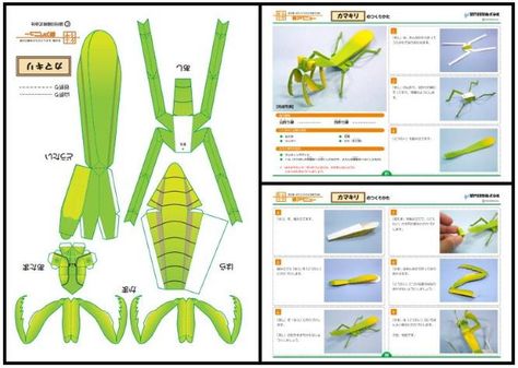 Japanese Giant Mantis Paper Model - by Kizuna Avenue Bug Paper Craft, 3d Bugs Crafts, Paper Insects Diy, 3d Insects Craft, Paper Bugs Insects, Insect Paper Craft, Insect Origami, 3d Paper Insects, Beetle Illustration