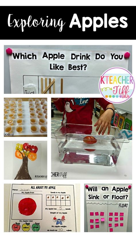 Apple activities and ideas for a kindergarten or first grade classroom. Exploring apples= so many great opportunities for math and science! Apple Activities First Grade, Apples With Cinnamon, Apple Week, Preschool Apple Theme, Apple Kindergarten, Apple Lessons, Apple Math, Cider Tasting, Apple Benefits