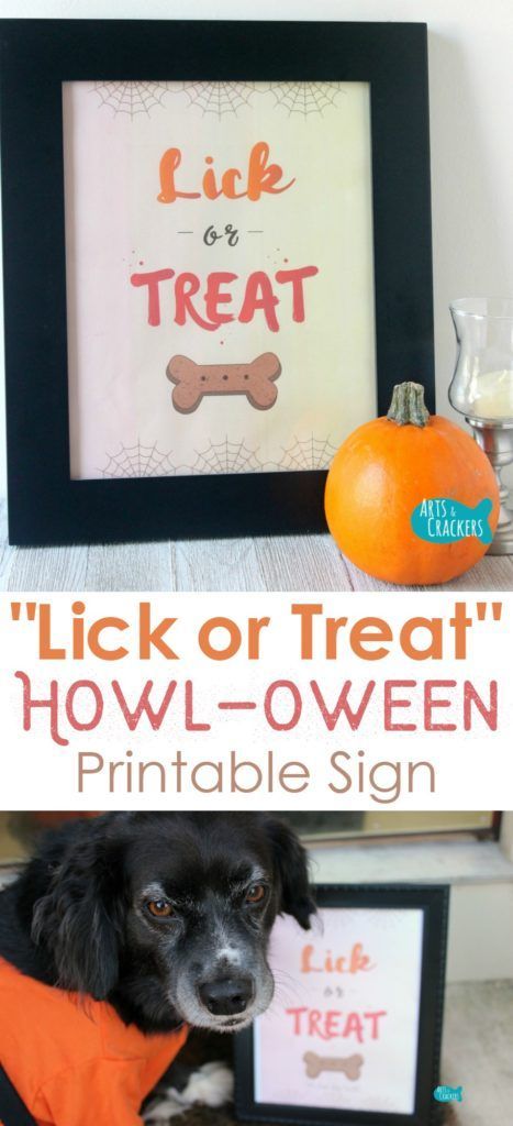 'Lick or Treat' Halloween Printable Sign for Dog Lovers Halloween Dog Treats, Diy Dog Treats, Fall Dog, Dog Birthday Party, Halloween Sign, Halloween Printable, Dog Crafts, Dog Party, Trunk Or Treat