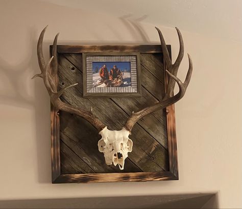 Skull Mounts Ideas Deer, European Mount Display Ideas, Deer Antler Plaque Ideas, European Deer Mount Ideas Girly, European Deer Mount Ideas Wood, Whitetail European Mount Ideas, Diy European Deer Mount, Euro Mount Ideas, European Skull Mount Ideas