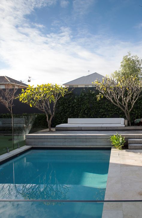 Raised decking above pool with a built in lounge chair and frangipani trees growing through decking. The raised decking also acts as a pool cover holder. Pool Cover Holder, Built In Lounge, Raised Decking, Hampton Pool, Pool Planters, Fence Around Pool, Raised Pools, Decks Around Pools, Deck Piscina