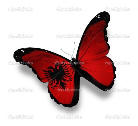 Flag Albania, Albanian Flag, Flag Images, Albania Flag, Republic Of Macedonia, Flag Day, Christmas Makeup, The Flag, History Design