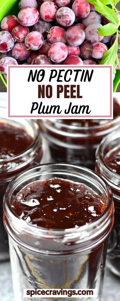 How To Make Plum Jam Homemade, Refrigerator Plum Jam, Prune Plum Jam, Plum Jam Recipe Easy Small Batch, Plum Salad Dressing, Homemade Plum Jam, Plum Freezer Jam Recipes No Pectin, Wild Plum Jam Recipe Homemade, Plum Recipes Jam