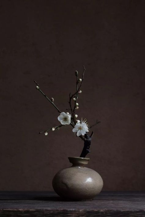 Wabi Sabi Plants, Image Zen, Arreglos Ikebana, Zen Pictures, Ikebana Sogetsu, Axel Vervoordt, Ikebana Flower, Wabi Sabi Art, Ikebana Flower Arrangement