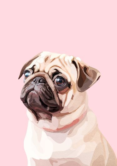 Dog Living Room, Fawn Pug, Decorative Wall Art, Pug Dog, One Stop Shop, Dog Portraits, Dog Art, Art Gift, Pug