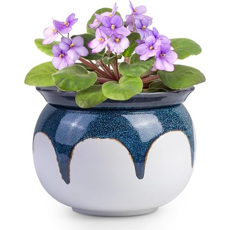 Amazon Thanks You African Violet Pots, Growing Tomato Plants, Indoor Oasis, Self Watering Plants, Watering Pot, Self Watering Pots, African Violet, Indoor Plant Pots, Self Watering