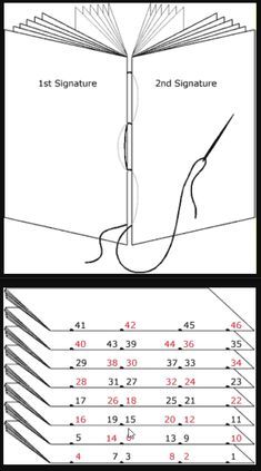 How To Sew Signatures Together, Book Binding Signatures, How To Sew A Book Binding, How To Sew Book Pages Together, How To Sew Book Signatures, Sewing Signatures Book Binding, Bookmaking Tutorials, How To Make A Book, Book Signatures