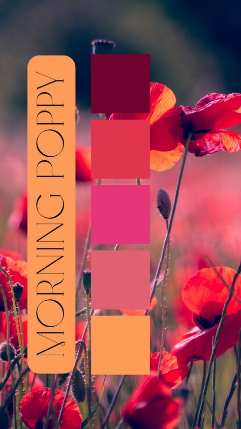 Morning Poppy Color Palette by Felicity & Lilac Events Cranberry Colour Palette, Fuschia Orange Color Palette, Tomato Red Color Combination, Ruby Color Palette, Orange And Pink Color Palette, Color Palette Magenta, Raspberry Color Palette, Berry Color Palette, Cranberry Color Palette