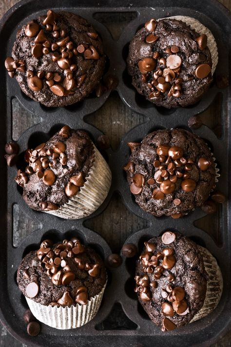 Chocolate Buttercream Icing, Double Chocolate Chip Muffins, High Altitude Baking, Double Chocolate Muffins, Cocoa Recipes, No Churn Ice Cream, Chocolate Powder, Chocolate Chip Muffins, Chocolate Muffins