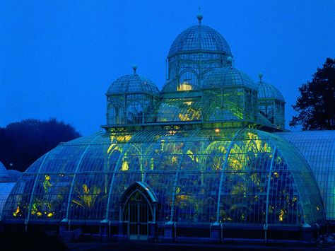 Garden Greenhouse, Greenhouses, Glass House, Pretty Places, Belfast, Winter Garden, My New Room, Brussels, Online Casino