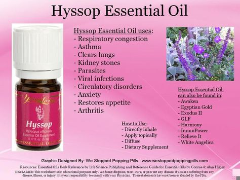 Hyssop Essential Oil, Clear Lungs, Healing Essential Oils, Viral Infection, Love My Body, Oil Uses, Essential Oil Uses, Sweet Scents, Lungs