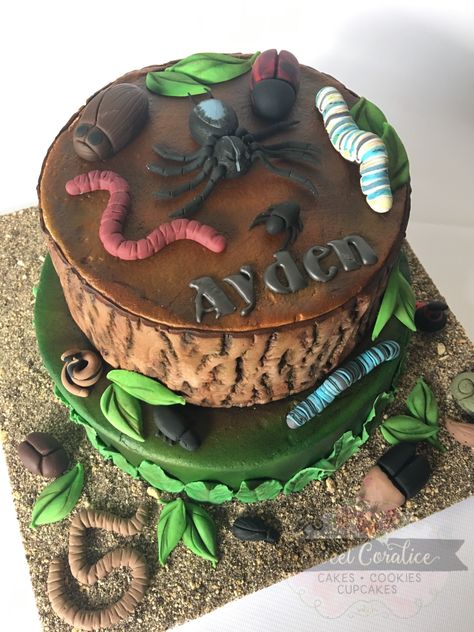 Tarantula Cake Birthday, Fondant Bugs Insects, Insect Cakes For Boys, Insect Cake Ideas, Amphibia Cake, Fondant Insects, Bug Cakes For Boys, Insect Birthday Cake, Fondant Bugs