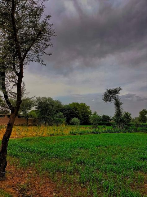 Colors of Punjab #Punjab #Pakistan #Village #Photography Rainy Village Photography, Rainy Village, Pakistan Village, Raining Aesthetic, Punjab Pakistan, Village Photography, Photo Quotes, Rainy Day, City Photo