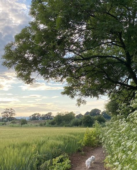 Cottage Life, Beautiful Places Nature, Spring Vibes, Alam Yang Indah, Nature Aesthetic, Pretty Places, Green Aesthetic, Country Life, Mother Earth