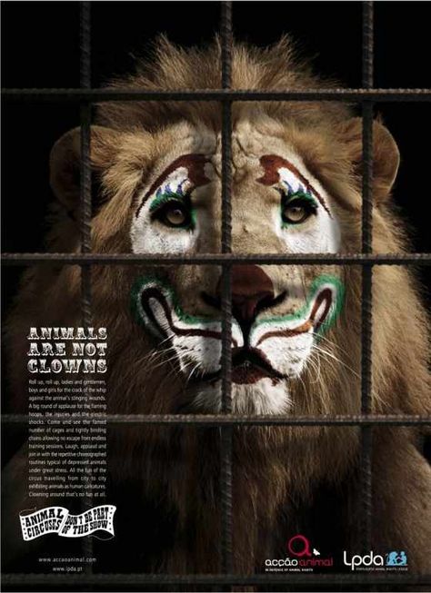 Animal Cruelty Awareness, Social Awareness Posters, Higher Art, Awareness Poster, Publicidad Creativa, Circus Animals, Stop Animal Cruelty, Social Awareness, Animal Protection