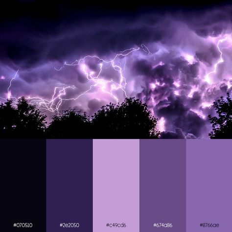 Colour Schemes Purple, White And Purple Color Palette, Psychic Color Palette, Witch Aesthetic Color Palette, Purple Pallete Color, Euphoria Color Palette, Raiden Shogun Color Palette, Black And Purple Color Palette, Color Palettes Purple