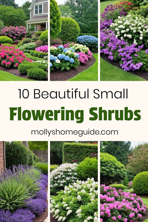 Discover the best small flowering shrubs to elevate your front yard with bursts of color and charm! These amazing compact shrubs are perfect for small gardens or yards, adding a touch of beauty without overwhelming the space. Whether you prefer dwarf, low-growing, or evergreen varieties, there's a wide selection of stunning flowering shrubs suitable for sunny or partially shaded areas. Create a picturesque landscape with these gorgeous blooms adorning the front of your house. Plants For Sunny Areas Front Yards, Zone 7b Landscaping Front Yards, Small Evergreen Garden Ideas, Winter Flower Beds Ideas Front Yards, Small Shrubs In Front Of House, Zone 7 Landscaping Front Yards, Best Shrubs For Front Of House, Landscape Shrubs Front Yard, Small Flowering Shrubs