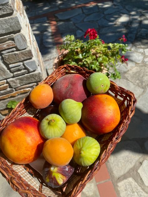 Whicker basket full of figs, plums, and nectarines. Red flowers in the background. Ancient Greece Food, Greek Fruit, Summer In Greece Aesthetic, Greek Summer, Ancient Greece Aesthetic, Greece Food, Fig Tree, Summer Inspiration, Old Disney