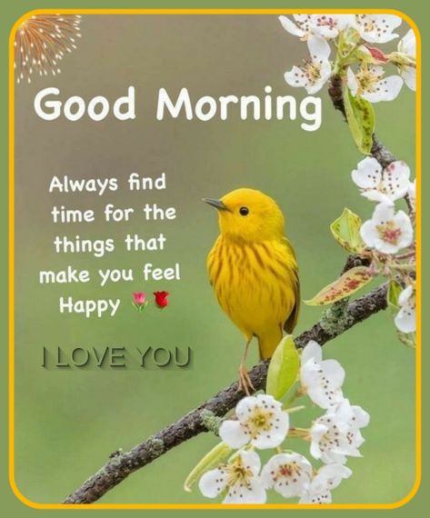 Birds Good Morning Quotes, Good Morning Birds Images, Good Morning Greeting Cards, Beautiful Morning Quotes, Cute Good Morning Images, Good Morning Sunshine Quotes, Happy Morning Quotes, Good Morning Nature, Good Morning Flowers Quotes