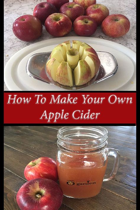 How To Make Your Own Apple Cider - without a press!  #apple #cider #recipe #fall #press #juice #beverage #oldworldgardenfarms Homemade Apple Cider Recipe, Apple Cider Uses, Make Apple Cider, Making Apple Cider, Recipe Using Apples, Apple Cider Recipe, Homemade Apple Cider, Apple Recipes Easy, Cider Recipe