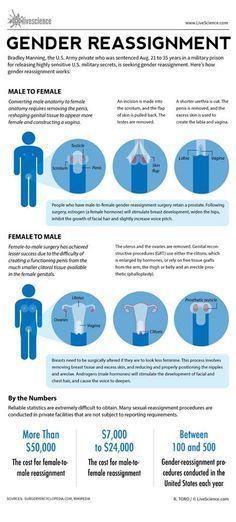 Gender reassignment - procedure summary. Don't assume that just because someone is transgender that they want and elected to have the procedure done. Keep in mind it's a very personal decision and it's better to let the other person disclose and not to ask. Transgender Mtf, Trans Boys, Female Transformation, Trans Pride, Gender Identity, Cosmetic Surgery, Just Because, Surgery, Science