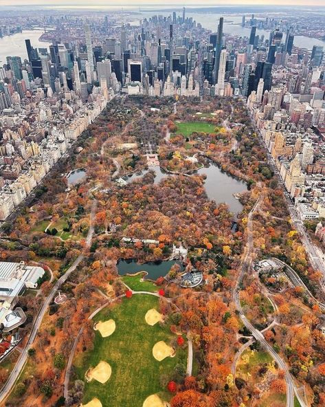 November In New York, New York City November, Central Park November, Nyc November, Nyc In November, New York November, New York In November, Nyc Christmas, Autumn In New York