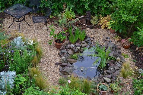 How I made our small wildlife pond Small Garden Wildlife Pond, Small Wildlife Pond, Wildlife Ponds, Garden Ideas Uk, Wildlife Pond, Backyard Birds Sanctuary, Pond Garden, Garden Pond Design, Theater Design