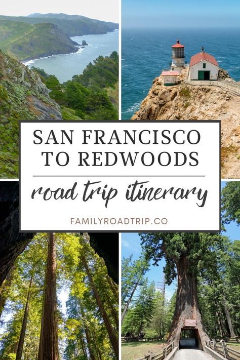 Plan your family road trip stops between San Francisco and the coastal redwood forests of northern California | Best things to see and do along the route from San Francisco to Redwood National Park. Best forest stops, historic towns, Fort Bragg, Avenue of the Giants and highlighted must-stops in the Redwood National and State Parks | Family road trip through northern California | Family road trip experts at familyroadtrip.co San Francisco To Redwood National Park, Redwoods National Park, Road Trip Stops, Avenue Of The Giants, Fort Bragg California, Redwood National And State Parks, Coastal Redwood, California Travel Guide, Mendocino Coast