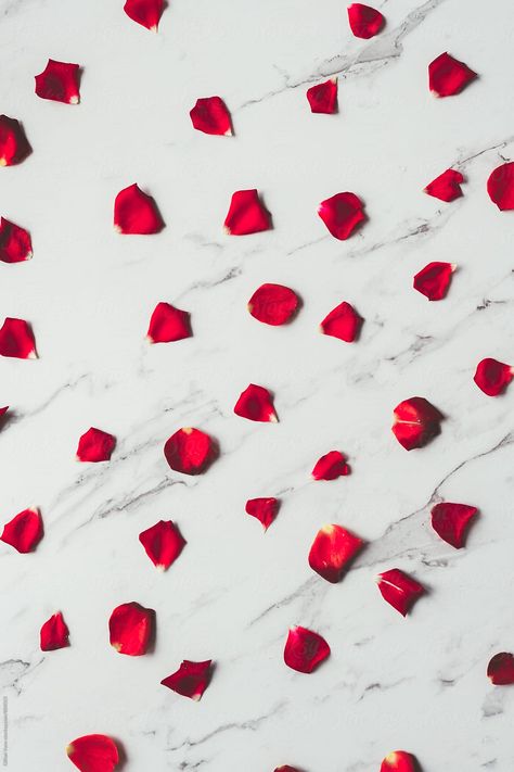 Flower Background Iphone, Lovecore Aesthetic, Sparkle Wallpaper, Red Rose Petals, Rose Background, Red Petals, Valentine Anniversary, Heart Background, Marble Background