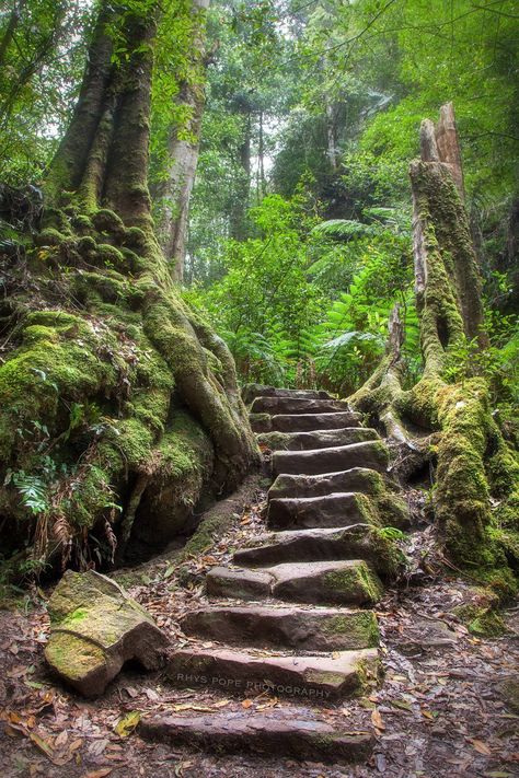 Australia Flowers, Hidden Staircase, Temple Spa, Warm Vacation, Blue Mountains Australia, Hiking Inspiration, Gothic Dollhouse, Beautiful Ruins, Dream Landscape