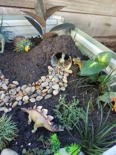 More Backyard Play Spaces, Dinosaur Garden, Themed Garden, Outdoor Play Spaces, Play Garden, Sensory Garden, Outdoor Play Area, Garden Types, Backyard Play