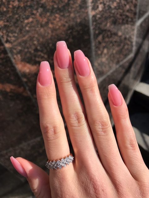 French Nails 2024, Short Pink Gel Nails, Pinkish Nails, Milk Pink Nails, Biogel Nails, Perfect Pink Nails, Translucent Pink Nails, Pink Gel Nails, Casual Nails