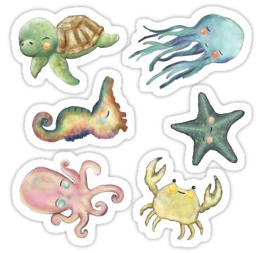 Wee Animals Sticker Set 5 Sticker 5 Oceans, Nature Stickers, Stickers For Sale, Animal Stickers, Glossier Stickers, Transparent Stickers, Sticker Set, Cute Stickers, Sticker Design