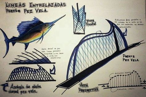 Biomimicry Architecture, Arch Sketch, Bionic Design, Conceptual Architecture, Architecture Concept Diagram, Architecture Design Sketch, Roof Architecture, Architecture Design Drawing, Architecture Collage