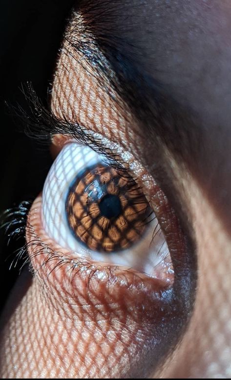 Eye Fashion, Photos Of Eyes, Eye Photography, Human Eye, World Photography, Creative Portraits, Eye Health, Pretty Eyes, Laser Hair