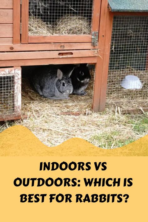 Discover the best way to keep rabbits as pets - indoors or outdoors? Whether you're a seasoned rabbit owner or just starting out, this guide will provide valuable insight and tips. Find out the benefits of indoor living, such as increased safety and bonding opportunities. Or explore the advantages of outdoor habitats, like natural grazing and exercise. Uncover expert advice on creating comfortable indoor setups or building secure outdoor enclosures. Learn about suitable diets, enrichment activit Rabbit Entertainment Ideas, Rabbit Habitat Outdoor, Outdoor Bunny Enclosure, Rabbit Enclosure Indoor, Outdoor Bunny Habitat, Indoor Bunny Setup, Indoor Rabbit Setup, Outdoor Rabbit Enclosure, Rabbit Playground