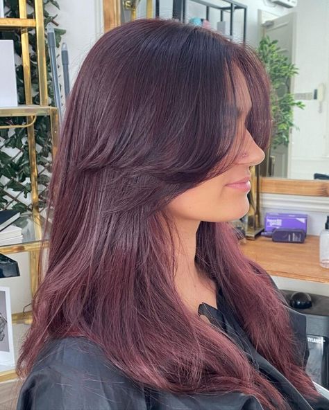 14 Stunning Plum Coloured Hair Ideas in 2024 Ion Plum Hair Color 4vv, Plum And Red Hair, Prune Hair Color, Plum Hair On Brown Skin, Brown Plum Hair Color, Violet Auburn Hair, Red Colour Hair Ideas, Dark Plum Purple Hair, Cherry Plum Hair Color