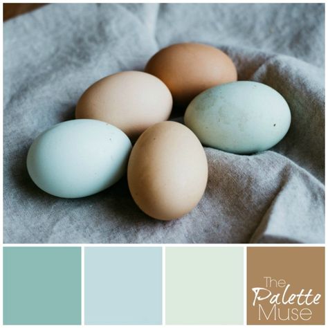 This natural palette brings out the blue, greens, and buff color of fresh eggs in the spring. Eggshell Blue Color Palette, Eggshell Blue Paint Color, Eggshell Paint Color, Hallway Narrow, Paint Palettes, Colour Pallets, Pastel Home Decor, Colors Inspiration, Eggshell Blue