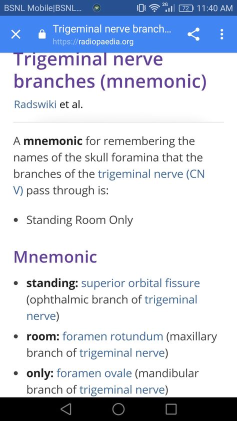 Trigeminal nerve branches mnemonic Trigeminal Nerve Branches, Mbbs Study, Trigeminal Nerve, Medical Student Study, Remember The Name, Med School, Student Studying, Medical Students, Nerve