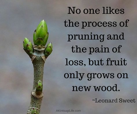 The value of pruning Pruning Your Life Quotes, Quotes About Pruning, Pruning Quotes, Extraordinary Life, Learning Quotes, Heavenly Father, How I Feel, Love Life, Be Yourself Quotes