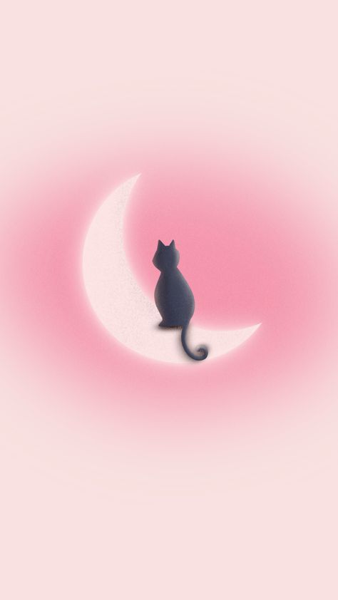 Pink Cat Wallpaper Iphone, Black With Pink Wallpaper, Coquette Cat Wallpaper, Pink Cat Background, Pastel Pink Lockscreen, Cat Pink Aesthetic, Pink Lockscreen Aesthetic, Cute Cat Wallpaper Aesthetic, Pink Cat Aesthetic