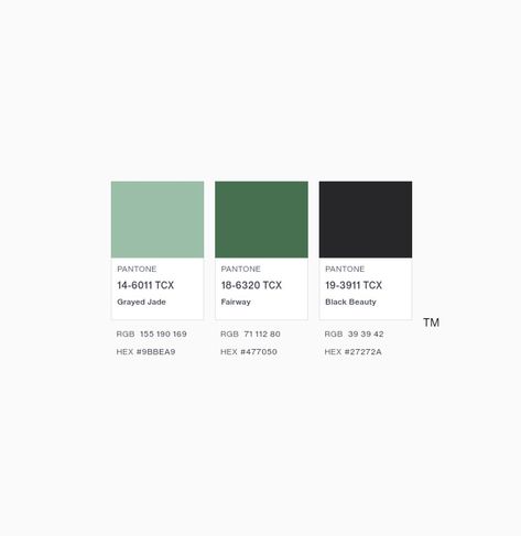 Grayed Jade, Fairway and Black Beauty Color Palette Jade Color Palette, Beauty Color Palette, Grayed Jade, Jade Color, Black Jade, Pet Sitters, Black Beauty, Spring 2017, Color Palette