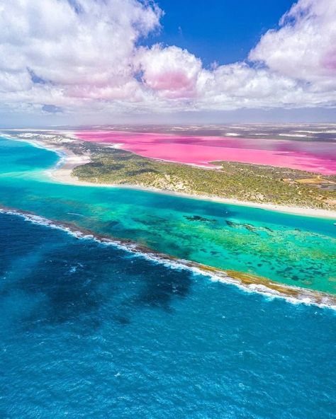 So Perth on Instagram: “Does this photo even need a caption?⁣ ⁣ 💕💕⁣ ⁣ 📷 @yawuru.wanderer 🤩⁣ 📍 Pink Lake Hutt Lagoon Port Gregory⁣ ⁣ Want more? Join our weekly So…” Pink Lake Western Australia, Pink Lake Australia, Hutt Lagoon, Landscape Images, Pink Lake, Australia Photos, Perth Australia, Australia Day, The Coral